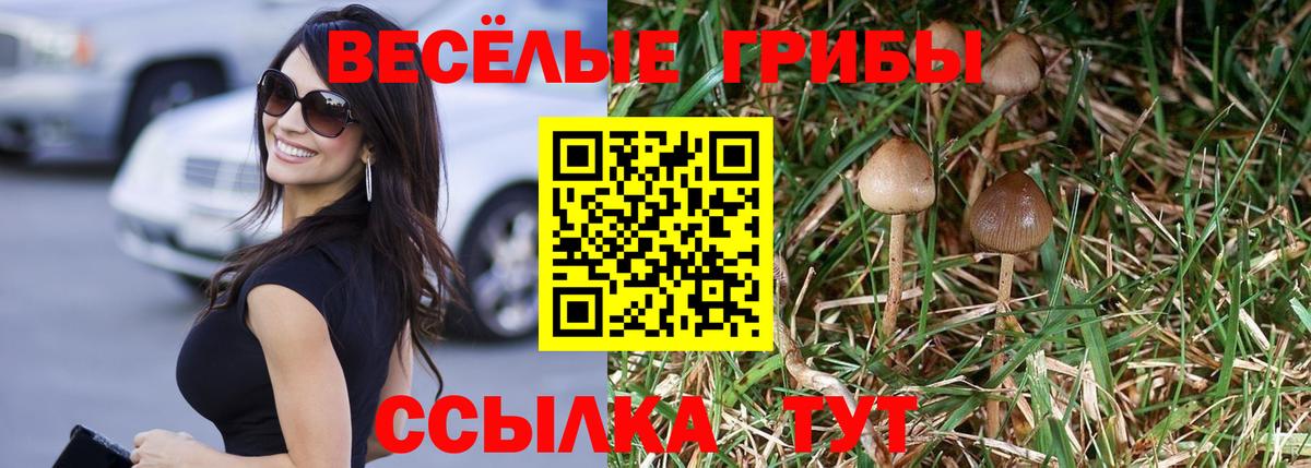 Галлюциногенные грибы мицелий  Вход с VPN  Каспийск 